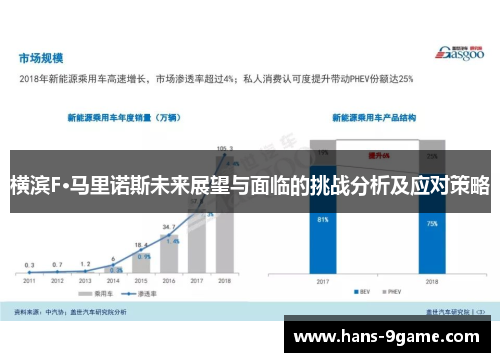 横滨F·马里诺斯未来展望与面临的挑战分析及应对策略