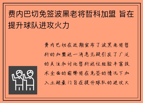 费内巴切免签波黑老将哲科加盟 旨在提升球队进攻火力